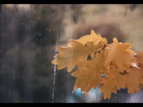 Phytocene - Serpentine (Soft Static Mix)