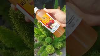 Download lagu Beli 1 Gratis 1 mp3