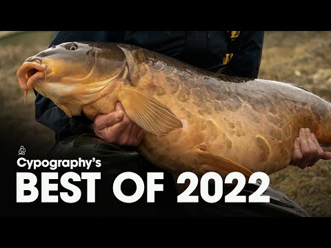2 HOUR FILM - THE BEST OF 2022 - CYPOGRAPHY