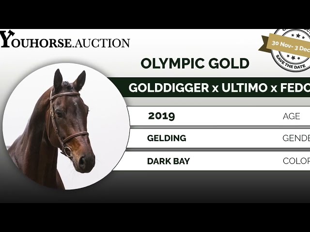 Olympic Gold showvideo