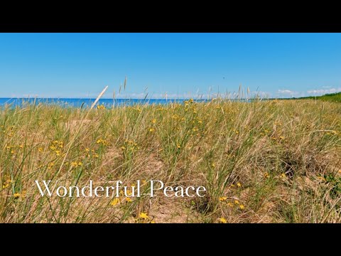 466 SDA Hymnal -  Wonderful Peace (Singing w/ Lyrics)