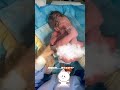 Tears Of Life When An Angel Arrives Shorts