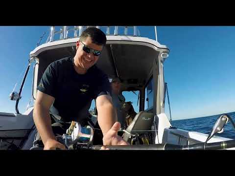 Which is the best game reel Talica or Tiagra?