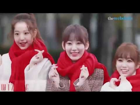 Funny Miyawaki Sakura vs Fans Scream