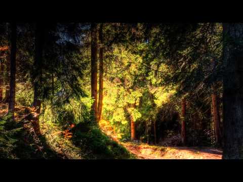 DJ Dado - Agent Vyper (Twin Peaks Theme)