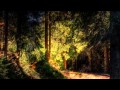 DJ Dado - Agent Vyper (Twin Peaks Theme) DJ Dado - Agent Vyper (Twin Peaks Theme)