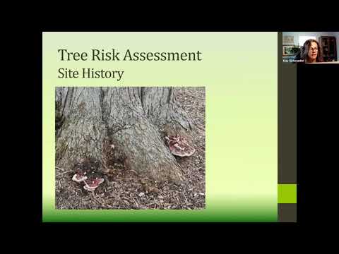 Tree Risk Assessment Webinar with Kay Sicheneder