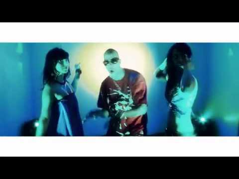 VYBRATE   DJ FLOWFLY  PARTY CRAZY Official Video.flv