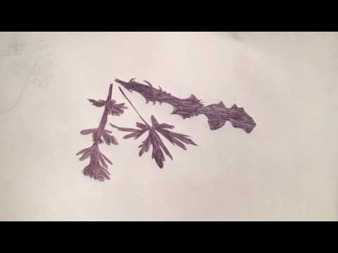 mozarteum outside in - Coronaskizzen (Klasse Zeichnung & Grafik)