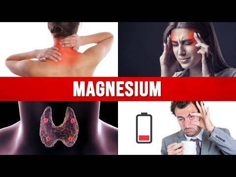 Calcium and Magnesium Absorption Basics – Dr Berg