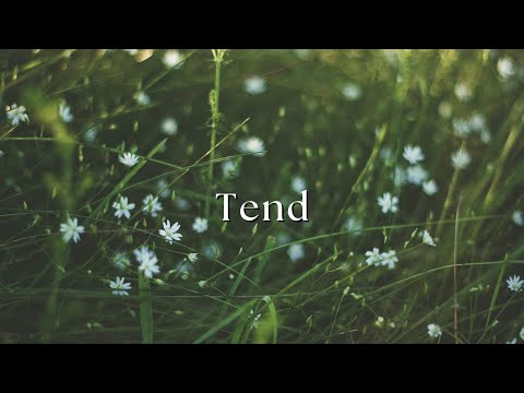 Tend - Hillside Recording & Diana Trout (Cover)