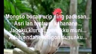 Download lagu Jago Kluruk (Versi Tayub) mp3