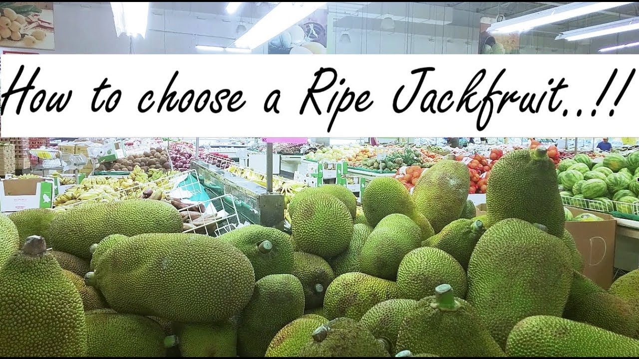 How to select a Ripe Jackfruit || Tips to Pick the RIGHT one ..!!