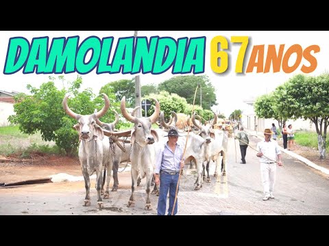 desfile de carros de bois aniversario de damolandia goias 67 anos