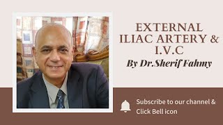 Dr. Sherif Fahmy - External Iliac artery & I.V.C