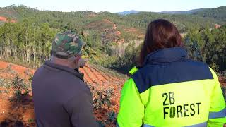 2B Forest - Apoio Técnico na Gestão do Eucalipto