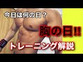 今日は何の日?胸の日!トレーニング解説‼︎「ダンベルフライ」「フロントレイズ」