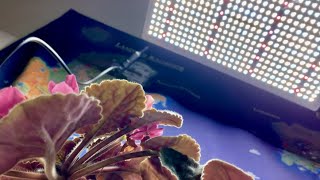 Features of the ViparSpectra XS 2000 LED Grow Light