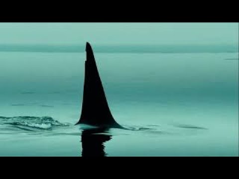 Carnival Holocaust - Neurological 1 час