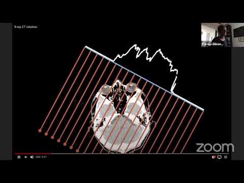 Carola Schönlieb, Cambridge: Hybrid mathematical and ML methods for solving inverse imaging problems