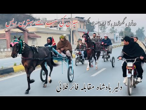 Dalair Badshah Vs Firefly Horse Biggest Full Race
