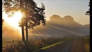 Paul Kalkbrenner - Mango