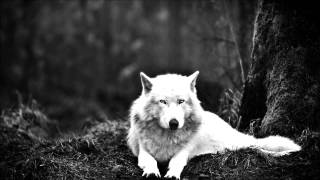 Oceans Ate Alaska-Downsides Segment Vocal Cover