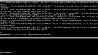 Linux - web server 4 (apache) : log