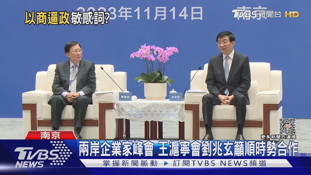 兩岸企業家峰會開幕 台企聯幹部怒斥綠營統戰組織說