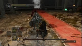 【DARK SOULS 2】４周目覇者誓約 格ゲーキャラっぽい物縛り Part2【実況】