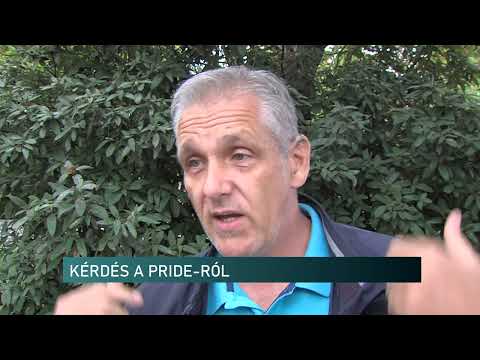 Miért a Zsolnay Kulturális Negyed adott otthont a pécsi Pride záró bulijának?