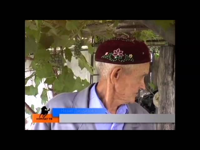 Виноград готов, дыня на подходе