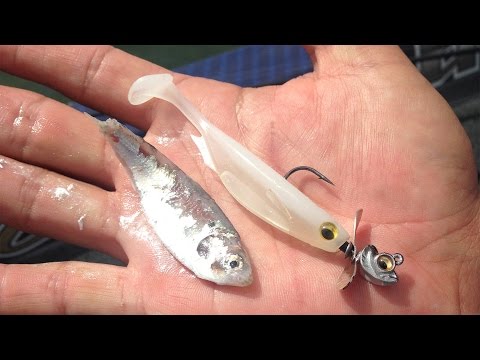 Megabass Spark Shad 17.8cm French Pearl