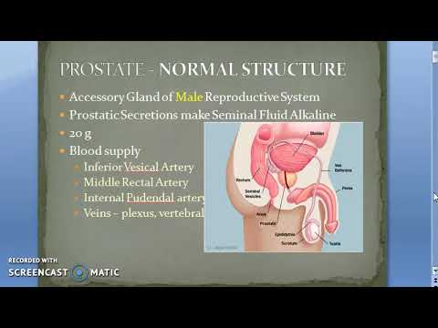A prosztatitis típusának diffúz változásai