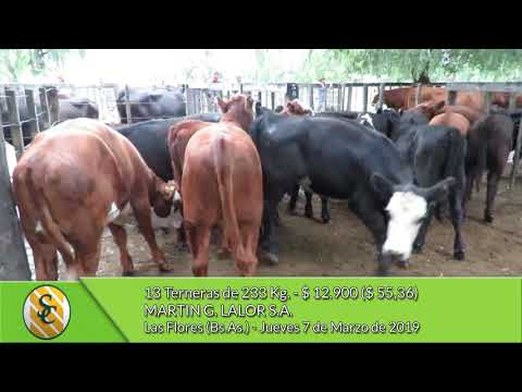 07-03-19 - Venta de Hembras - Martin G. Lalor S.A. - Las Flores