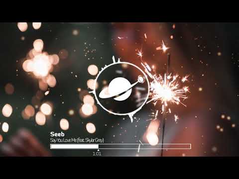 Seeb - Say You Love Me (feat. Skylar Grey)