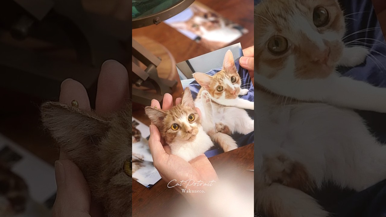 羊毛フェルトで作る猫＿メロンくん①