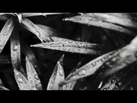 SPACEOUTERS x CULTROW - Contraversive Feelings