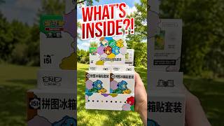 What’s inside the Chinese Pokémon 151 Magnet Set?