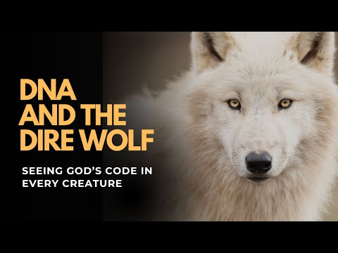 Dire Wolves, DNA and God's Design