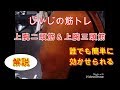 《じぃじの筋トレ》上腕二頭筋＆上腕三頭筋！誰でも簡単に効かせられる！解説！！