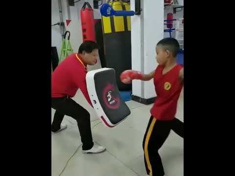 ~子甄彣璟~旋龍大踢靶 空手道格鬥訓練 弓形腳靶 拳擊散打 泰拳靶 手靶 腿靶 腳靶 跆拳道靶 武術練習 訓練靶