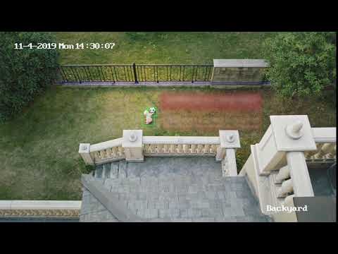 Sistem de supraveghere video cu intelect.