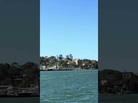 Thumbnail for Large Disney Wonder Cruise Ship near Harbour Bridge Sydney Australia