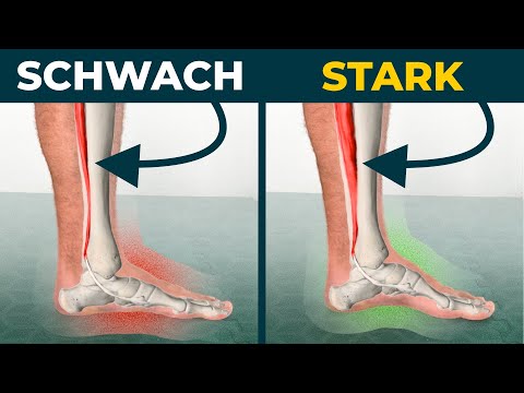 Fußgewölbe aufrichten - kurze Fußmuskeln & tibialis posterior kräftigen 🦶🏻