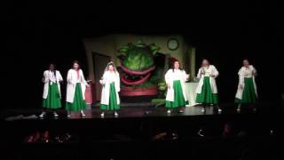 Little Shop of Horrors: Finale: Don't Feed the Plants