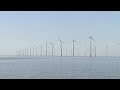 'Meer windmolens op Noordzee is desastreus voor vissers'