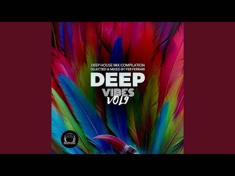 Deep Vibes 9 (Continuous DJ Mix)