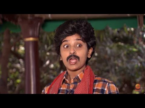 Kalyana Vaibhogam - కల్యాణ వైభోగం - Telugu Serial - EP - 204 - Meghana Lokesh - Zee Telugu