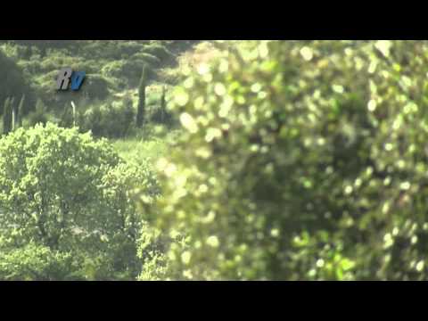 2012 Ege Rallisi / Haydar Güçlü - Durgut Berberoğlu / BMW 2002